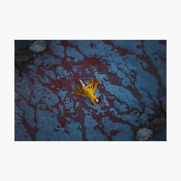 bleu jaune Impression photo
