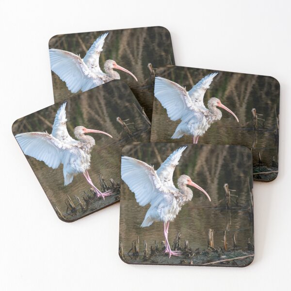Item preview, Immature White Ibis Entertaining designed and sold by Debra Martz.