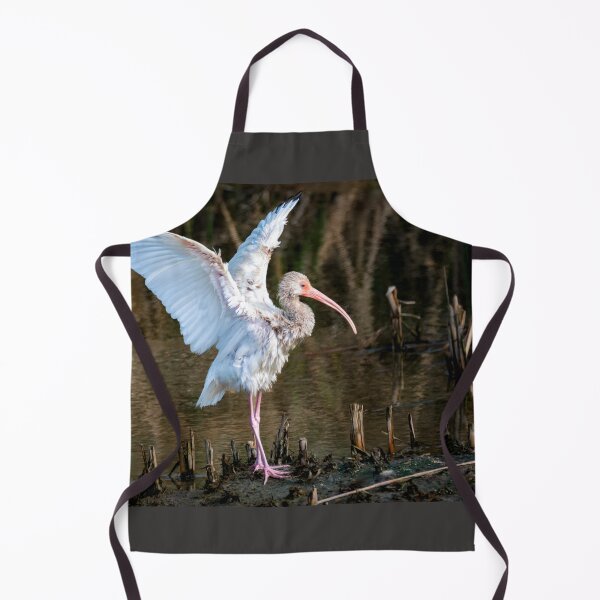 Item preview, Immature White Ibis Entertaining designed and sold by Debra Martz.