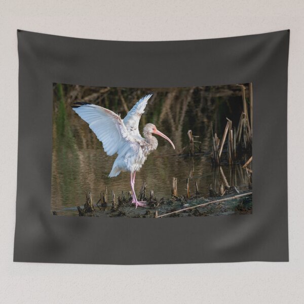 Item preview, Immature White Ibis Entertaining designed and sold by Debra Martz.
