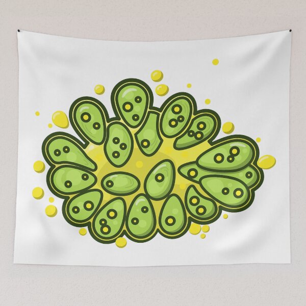 Item preview, Oleaginous green microalgae illustration, Botryococcus braunii designed and sold by thurakitdew.