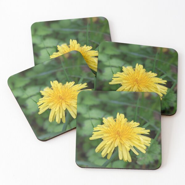 Item preview, Dandelion 1 designed and sold by AustaArt.