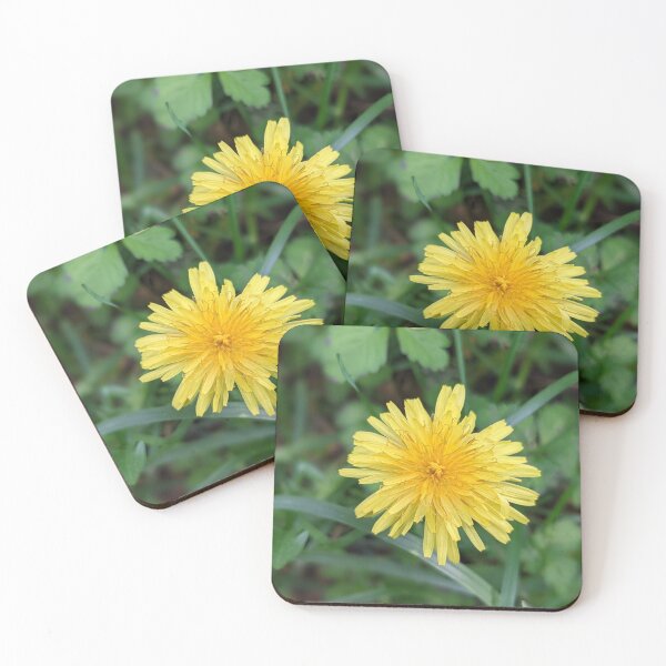 Item preview, Dandelion 2 designed and sold by AustaArt.