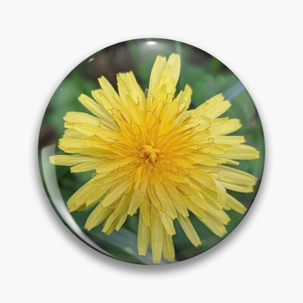 Item preview, Dandelion 2 designed and sold by AustaArt.