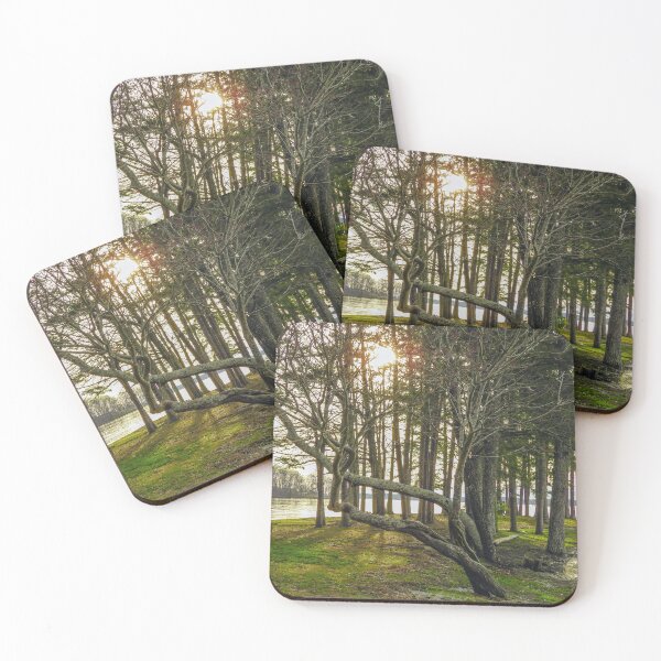 Item preview, Leaning Tree designed and sold by Craig Kauzmann.