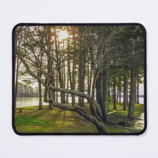 Item preview, Leaning Tree designed and sold by Craig Kauzmann.