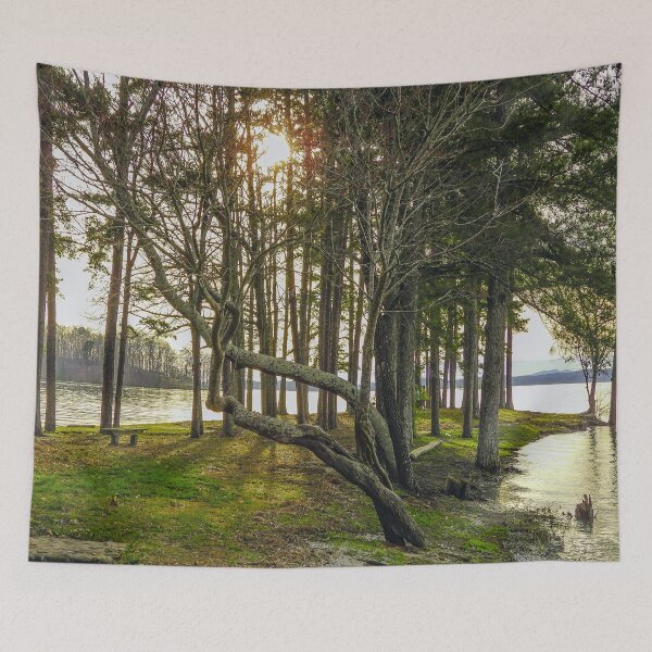 Item preview, Leaning Tree designed and sold by Craig Kauzmann.