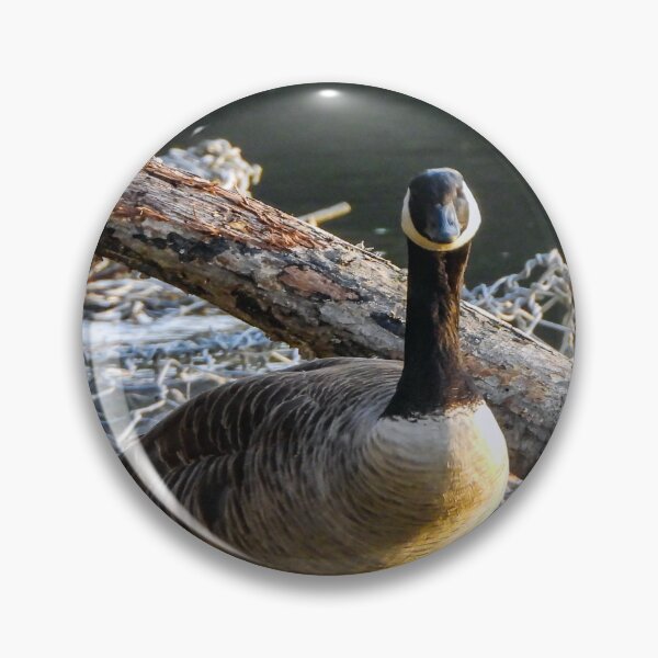 Item preview, What you lookin at? designed and sold by Craig Kauzmann.