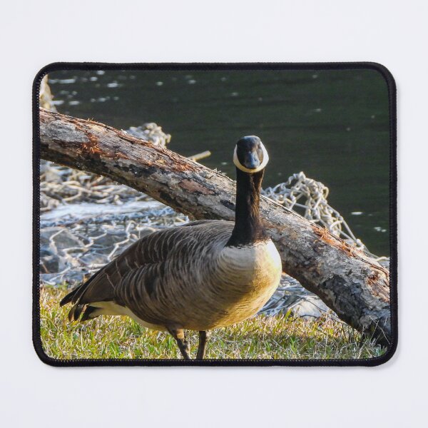Item preview, What you lookin at? designed and sold by Craig Kauzmann.