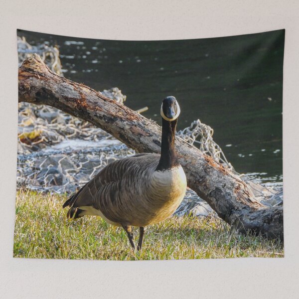 Item preview, What you lookin at? designed and sold by Craig Kauzmann.