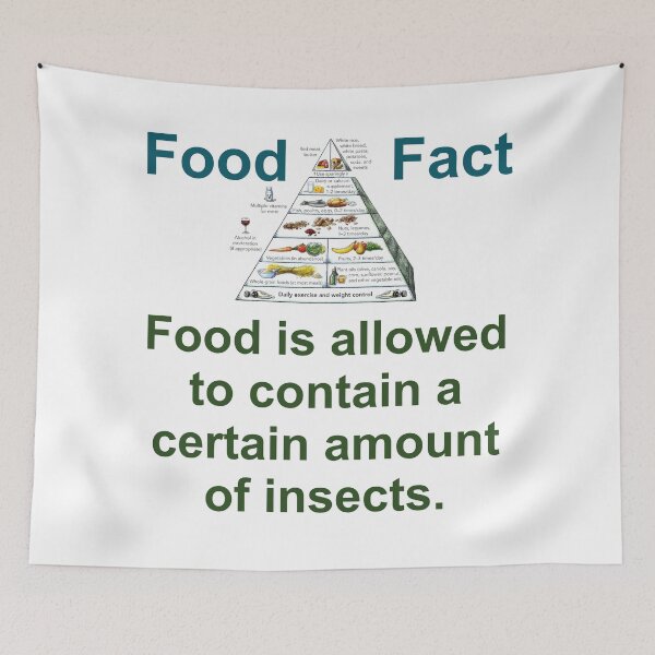 Item preview, Food Is Allowed to Contain - Food Fact designed and sold by CrankyOldDude.