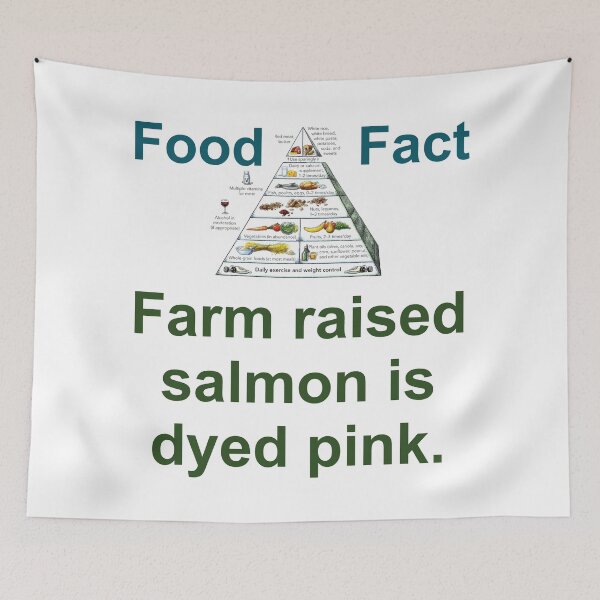 Aperçu de l'œuvre Farm Raised Salmon Is Dyed Pink - Food Fact créée et vendue par CrankyOldDude.