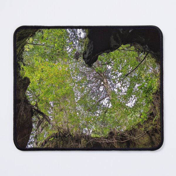 Item preview, Heart tree in Wilson's Stump -Yakushima, Japan designed and sold by BlackXPink.