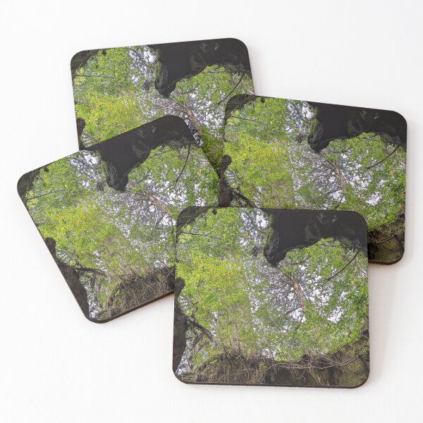Item preview, Heart tree in Wilson's Stump -Yakushima, Japan designed and sold by BlackXPink.