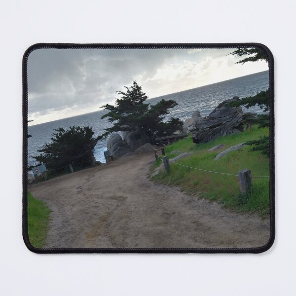 Item preview, Point cypress! designed and sold by AppleCups.