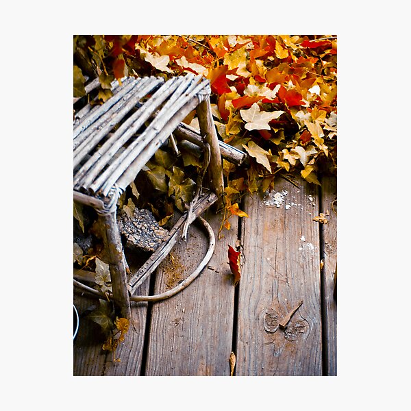 Golden Is The Day Photographic Print