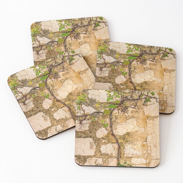Item preview, Vine on Rock Wall of House designed and sold by dbvirago.