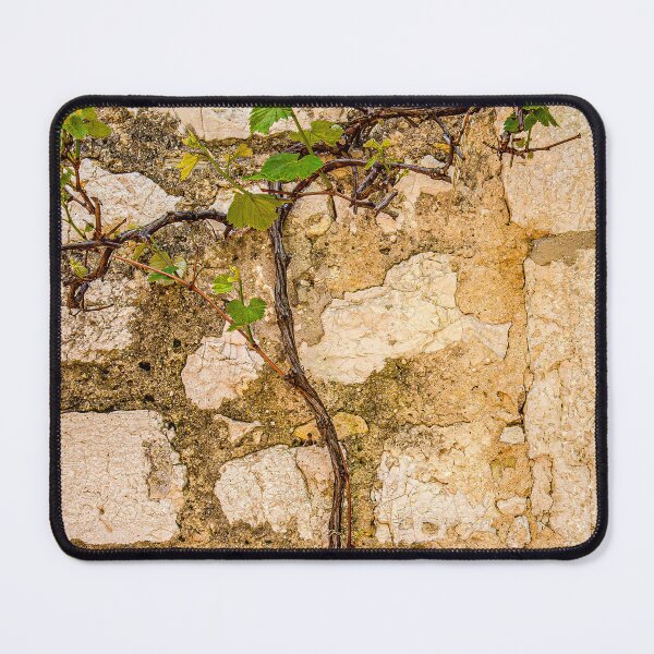 Item preview, Vine on Rock Wall of House designed and sold by dbvirago.