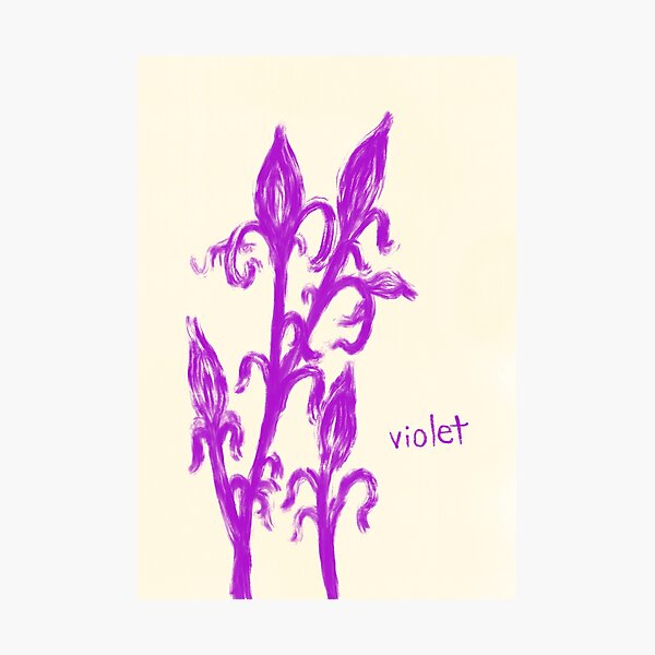 violet  Photographic Print