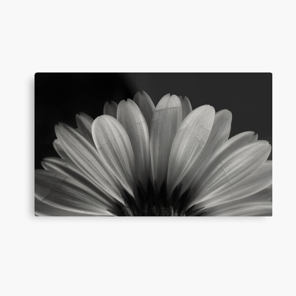 Enlightenment Metal Print