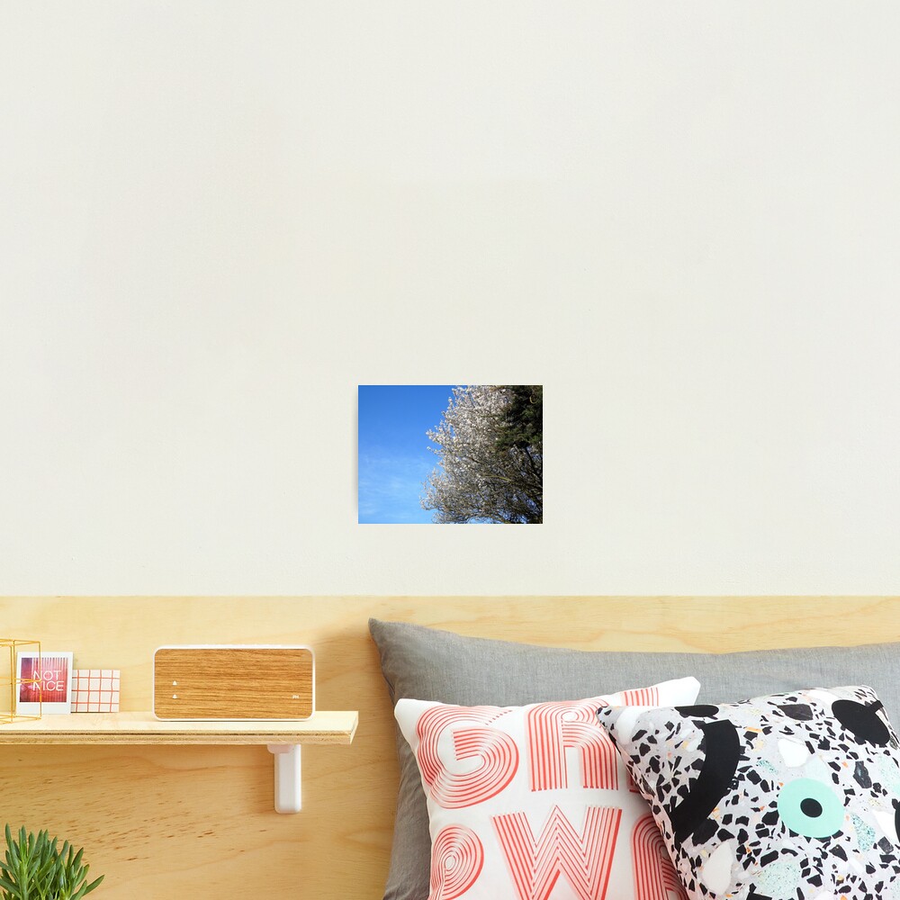 Item preview, Photographic Print designed and sold by ART22.