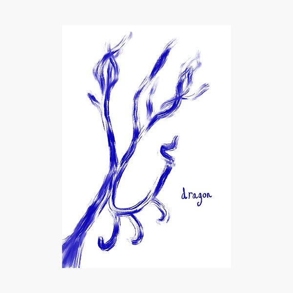 dragon Photographic Print