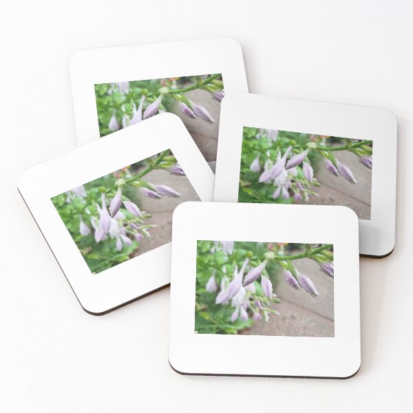 Item preview, Purple Flowers Raindrops - Original Photography designed and sold by JulienneJc.