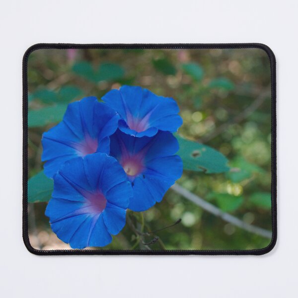 Item preview, Oceanblue Morning Glory designed and sold by notjustamwac.