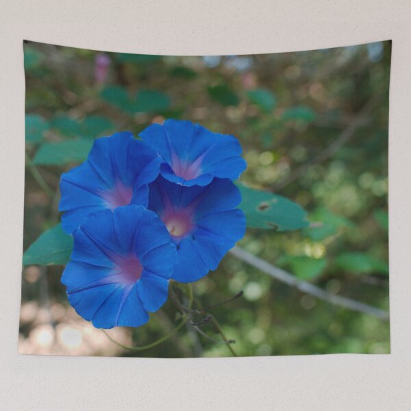 Item preview, Oceanblue Morning Glory designed and sold by notjustamwac.