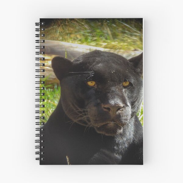 Item preview, Panthera genus designed and sold by Craig Kauzmann.