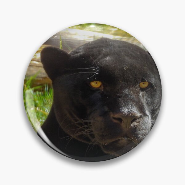 Item preview, Panthera genus designed and sold by Craig Kauzmann.