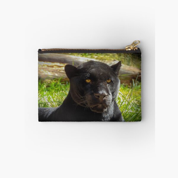 Item preview, Panthera genus designed and sold by Craig Kauzmann.