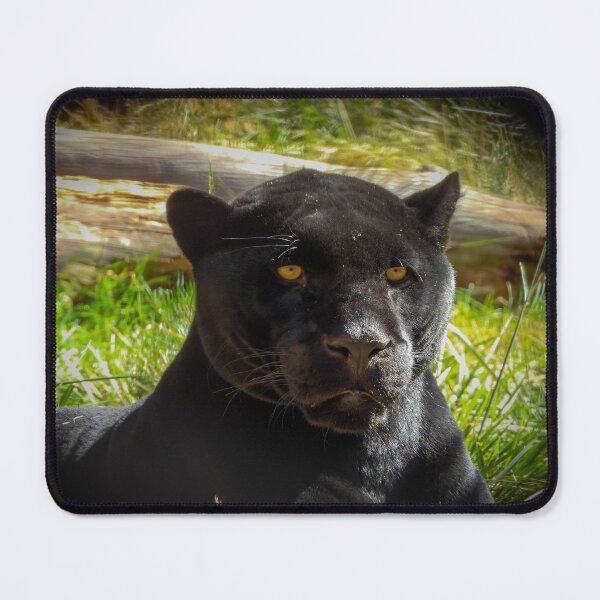 Item preview, Panthera genus designed and sold by Craig Kauzmann.
