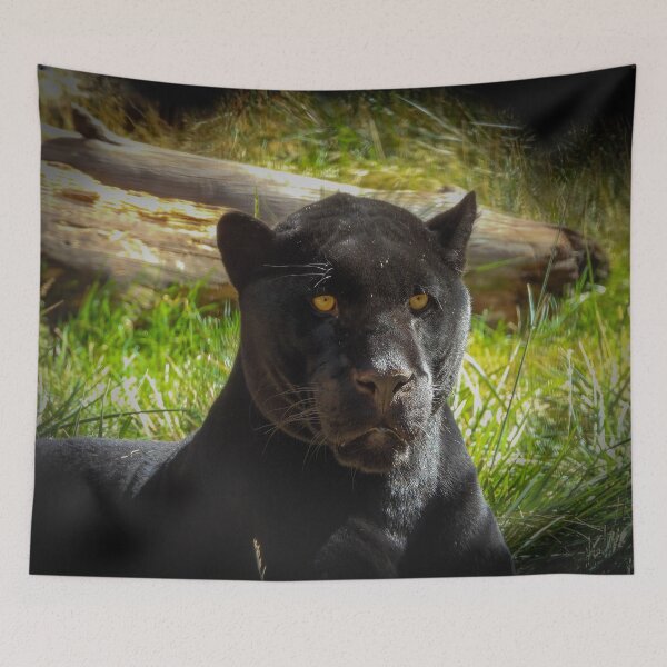 Item preview, Panthera genus designed and sold by Craig Kauzmann.