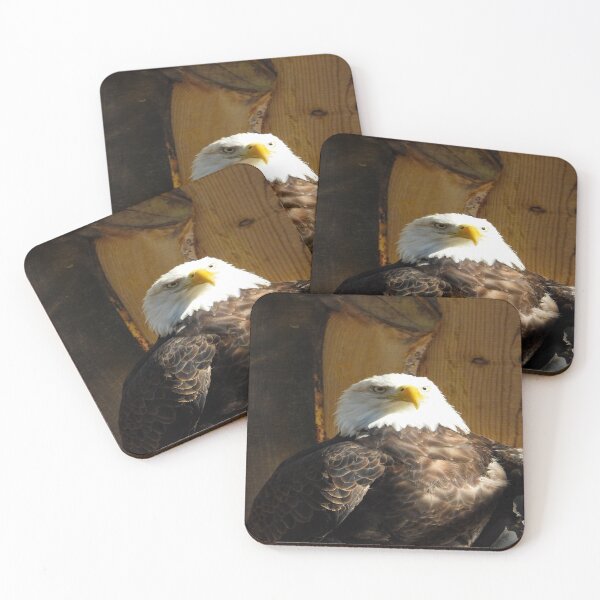 Item preview, Bald Eagle designed and sold by Craig Kauzmann.