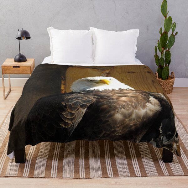 Item preview, Bald Eagle designed and sold by Craig Kauzmann.