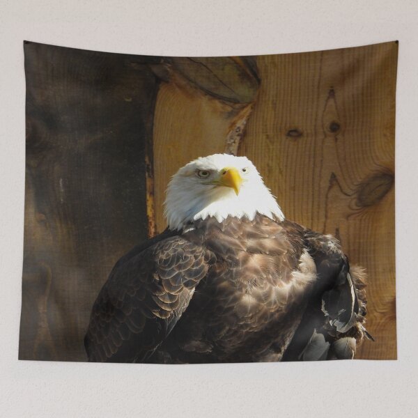 Item preview, Bald Eagle designed and sold by Craig Kauzmann.
