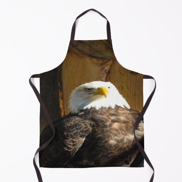 Item preview, Bald Eagle designed and sold by Craig Kauzmann.