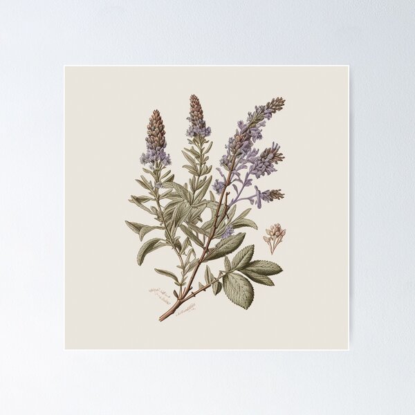 Item preview, Vintage Lavender Drawing with Muted Colors designed and sold by VC-prints.