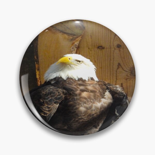 Item preview, Wise Guy designed and sold by Craig Kauzmann.