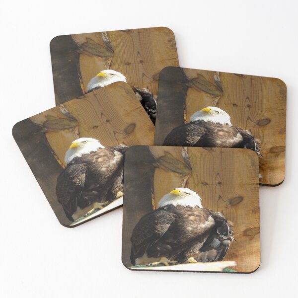 Item preview, Wise Guy designed and sold by Craig Kauzmann.