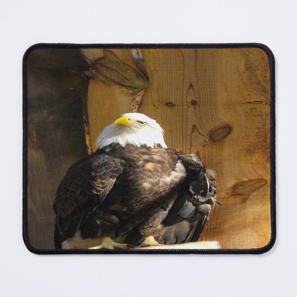 Item preview, Wise Guy designed and sold by Craig Kauzmann.