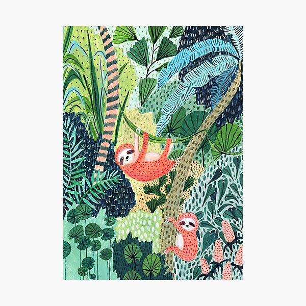 Jungle Sloth Family Photographic Print
