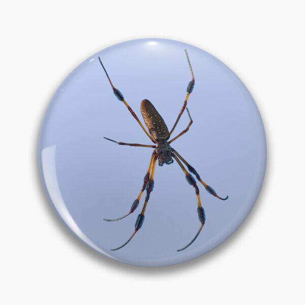 Item preview, Golden silk spider designed and sold by Zina Stromberg.