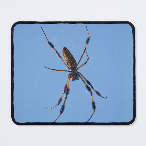 Item preview, Golden silk spider designed and sold by Zina Stromberg.