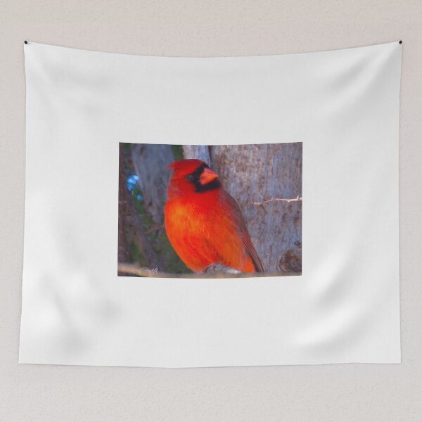 Item preview, Red hot Cardinal designed and sold by MarianBendeth.