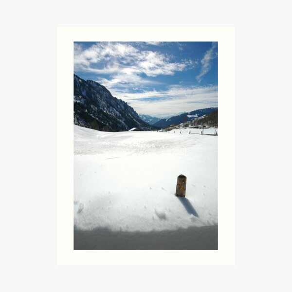 Art Print