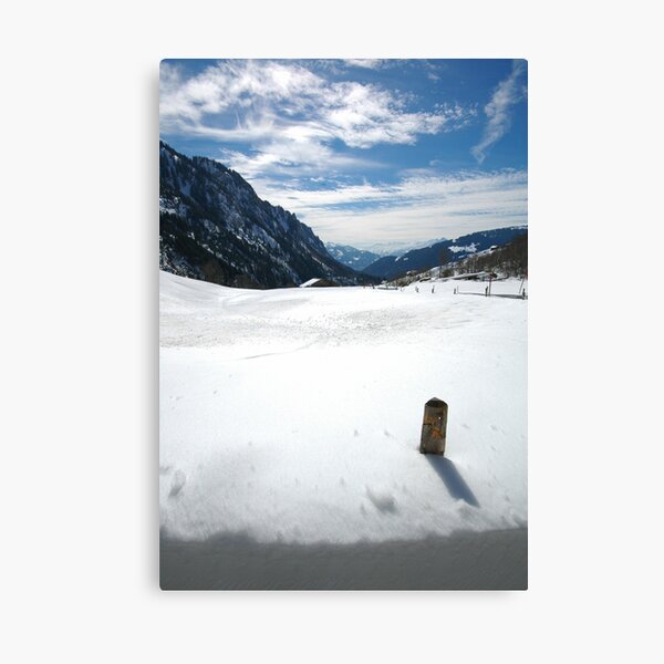 Winter Sun Canvas Print