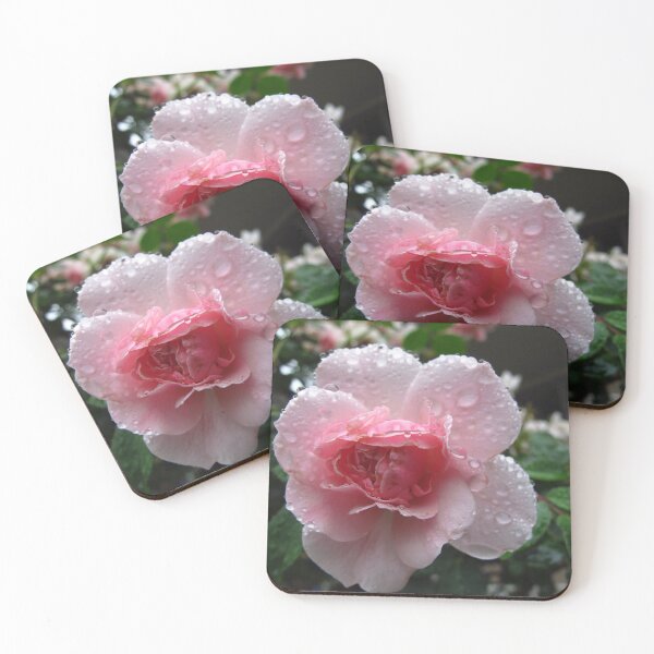 Item preview, Refreshing rose designed and sold by MarianBendeth.