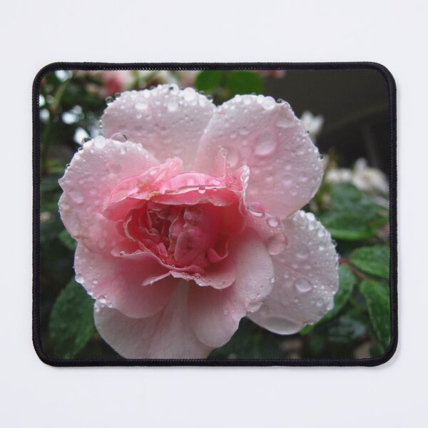 Item preview, Refreshing rose designed and sold by MarianBendeth.